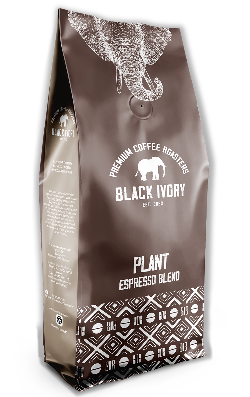 Black Ivory Espresso - Plant